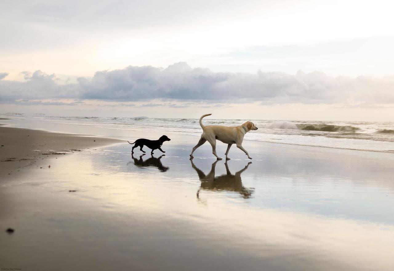Azure Beach House Filey Dış mekan fotoğraf